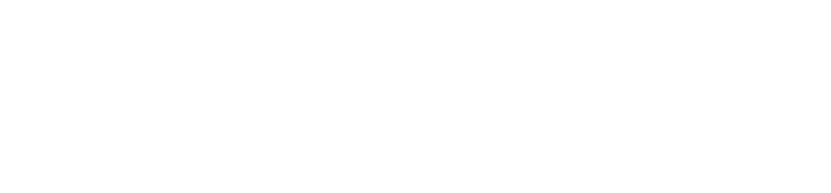 Denver Home Ltd Logo - Footer